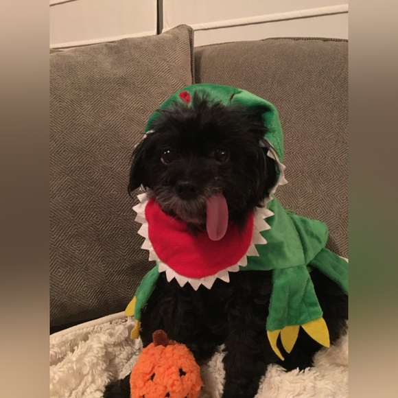 โฅ๏ธ๐๐ป๐ถMeet your Posher, Kim๐๐๏ธ๐๐  - Picture 11 of 12